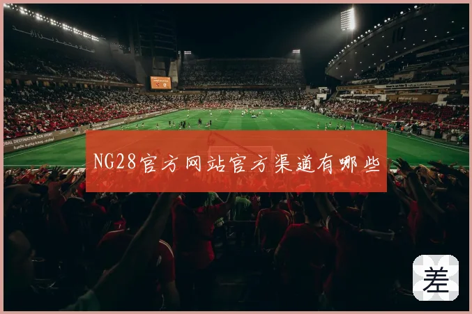 NG28官方网站官方渠道有哪些